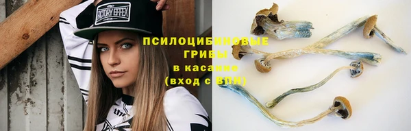 тгк Алзамай
