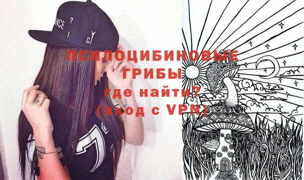 стаф Алексеевка