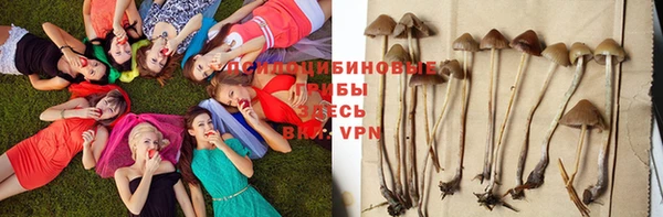 стаф Алексеевка