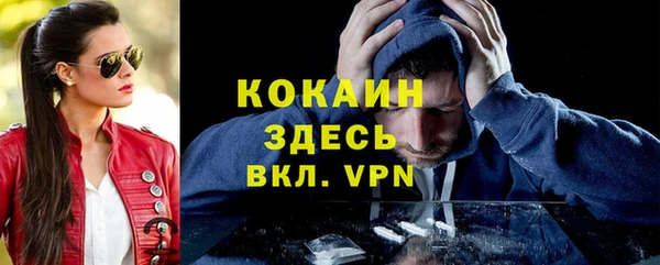 стаф Абинск