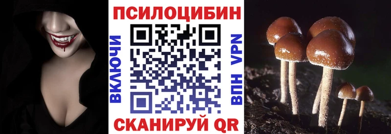 Галлюциногенные грибы мицелий  Полтавская 